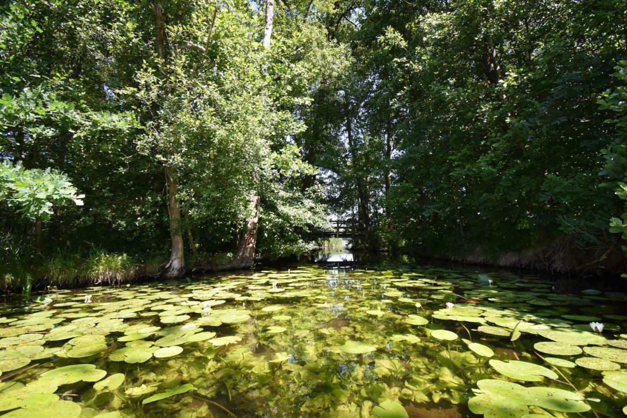 Luxus-See-Domizil Mit Sauna, Kamin Und Boot-130 Qm Fuer 6 Personen Krakow am See Luaran gambar